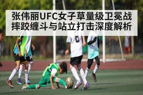 张伟丽UFC女子草量级卫冕战摔跤缠斗与站立打击深度解析